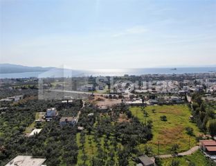 Οικόπεδο 8.039 τ.μ. για πώληση, Μεσσηνία, Καλαμάτα-thumb-4