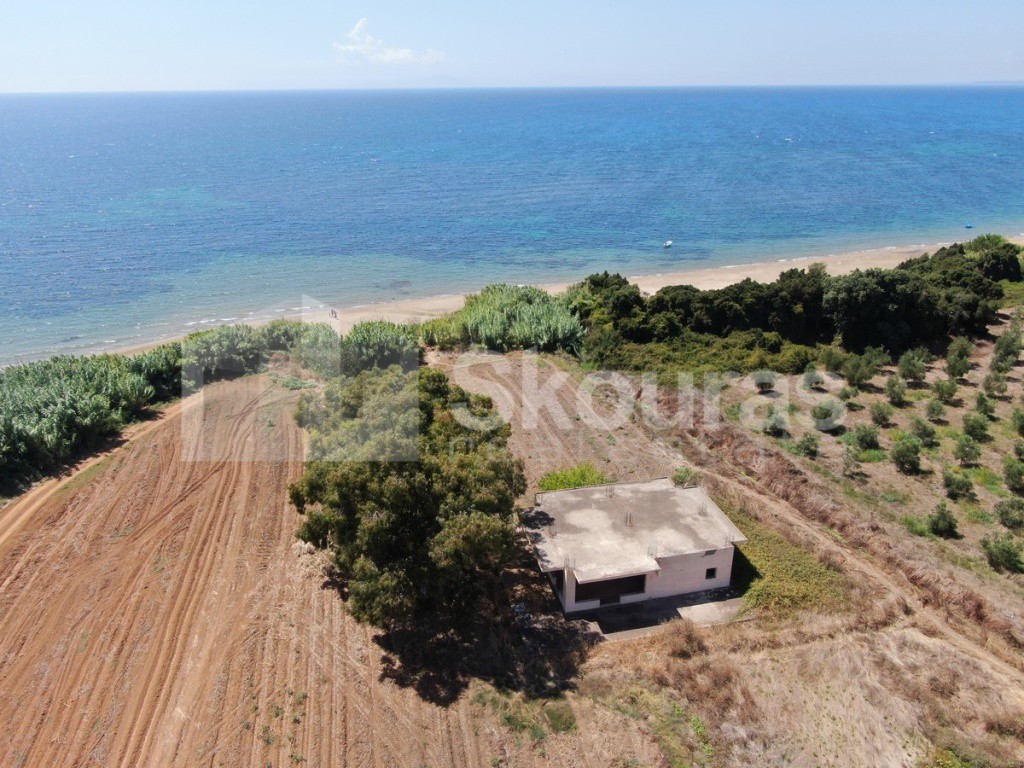 Αγροτεμάχια 32.573 τ.μ. προς πώληση, Δουναίικα Αμαλιάδας