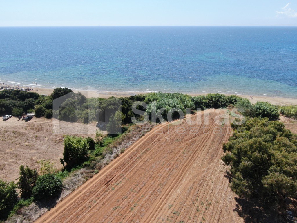 Αγροτεμάχια 32.573 τ.μ. προς πώληση, Δουναίικα Αμαλιάδας