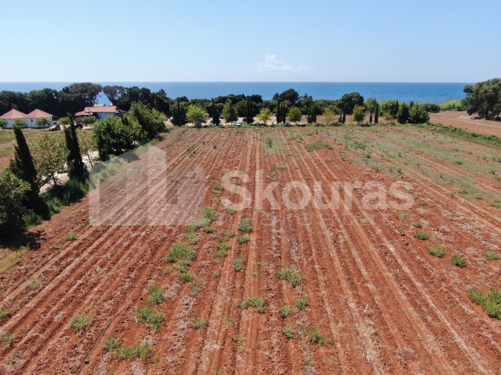 Αγροτεμάχια 32.573 τ.μ. προς πώληση, Δουναίικα Αμαλιάδας