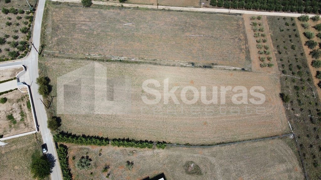 Αγροτεμάχια 5.363 τ.μ. προς πώληση, Άγιος Αδριανός