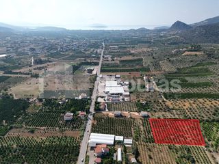 Αγροτεμάχια 4.700 τ.μ. για πώληση, Αργολίδα, Ναύπλιο-thumb-16