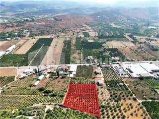 Αγροτεμάχια 4.700 τ.μ. για πώληση, Αργολίδα, Ναύπλιο-thumb-2