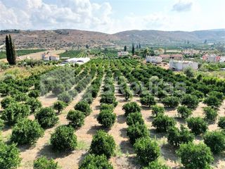 Αγροτεμάχια 4.700 τ.μ. για πώληση, Αργολίδα, Ναύπλιο-thumb-8