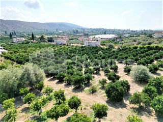 Αγροτεμάχια 4.700 τ.μ. για πώληση, Αργολίδα, Ναύπλιο-thumb-1