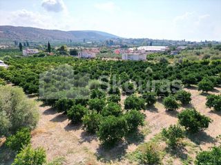 Αγροτεμάχια 4.700 τ.μ. για πώληση, Αργολίδα, Ναύπλιο-thumb-10