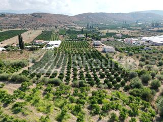 Αγροτεμάχια 4.700 τ.μ. για πώληση, Αργολίδα, Ναύπλιο-thumb-23
