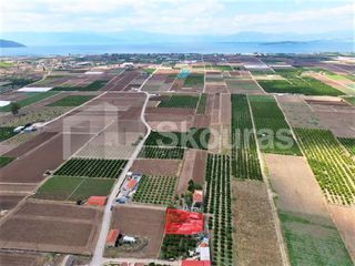Οικόπεδο 607 τ.μ. για πώληση, Αργολίδα, Ασίνη-thumb-8