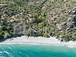Αγροτεμάχια 4.500 τ.μ. για πώληση, Αρκαδία, Απόλλωνας-thumb-22