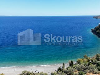 Αγροτεμάχια 4.500 τ.μ. για πώληση, Αρκαδία, Απόλλωνας-thumb-14