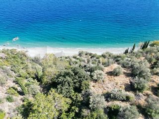 Αγροτεμάχια 4.500 τ.μ. για πώληση, Αρκαδία, Απόλλωνας-thumb-18