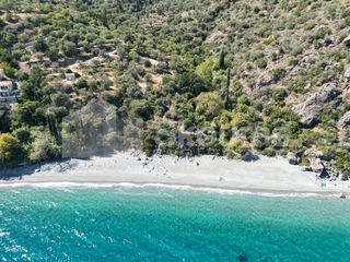 Αγροτεμάχια 4.500 τ.μ. για πώληση, Αρκαδία, Απόλλωνας-thumb-23