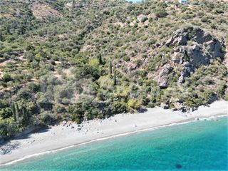 Αγροτεμάχια 4.500 τ.μ. για πώληση, Αρκαδία, Απόλλωνας-thumb-24