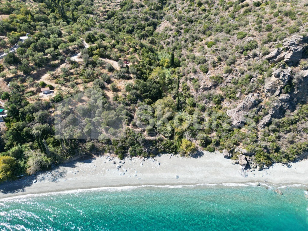 Αγροτεμάχια 4.500 τ.μ. προς πώληση, Τυρός