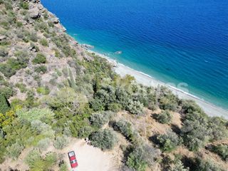 Αγροτεμάχια 4.500 τ.μ. για πώληση, Αρκαδία, Απόλλωνας-thumb-19