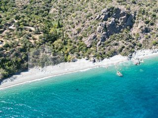 Αγροτεμάχια 4.500 τ.μ. για πώληση, Αρκαδία, Απόλλωνας-thumb-3