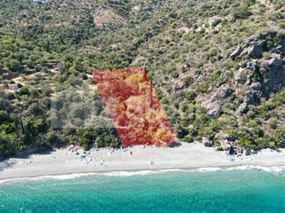 Αγροτεμάχια 4.500 τ.μ. για πώληση, Αρκαδία, Απόλλωνας-thumb-13