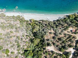 Αγροτεμάχια 4.500 τ.μ. για πώληση, Αρκαδία, Απόλλωνας-thumb-8