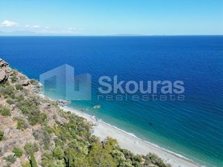 Αγροτεμάχια 4.500 τ.μ. για πώληση, Αρκαδία, Απόλλωνας-thumb-12