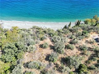 Αγροτεμάχια 4.500 τ.μ. για πώληση, Αρκαδία, Απόλλωνας-thumb-9