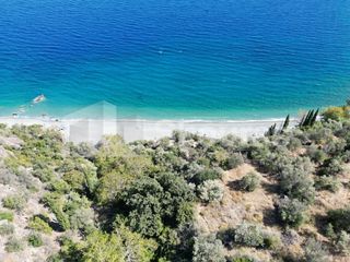 Αγροτεμάχια 4.500 τ.μ. για πώληση, Αρκαδία, Απόλλωνας-thumb-17