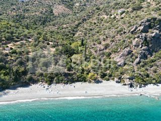 Αγροτεμάχια 4.500 τ.μ. για πώληση, Αρκαδία, Απόλλωνας-thumb-11