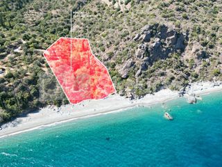 Αγροτεμάχια 4.500 τ.μ. για πώληση