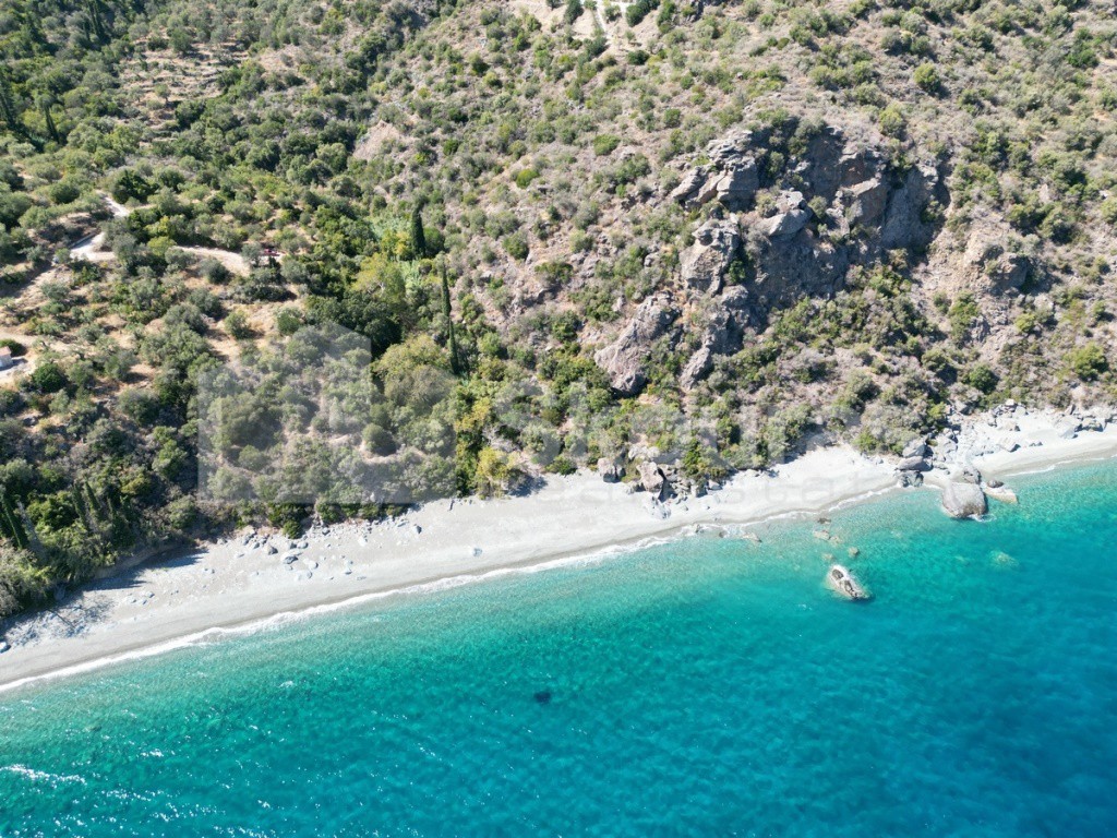 Αγροτεμάχια 4.500 τ.μ. προς πώληση, Τυρός