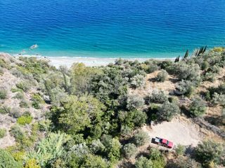 Αγροτεμάχια 4.500 τ.μ. για πώληση, Αρκαδία, Απόλλωνας-thumb-5