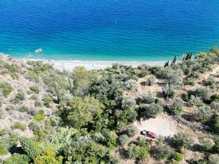 Αγροτεμάχια 4.500 τ.μ. για πώληση, Αρκαδία, Απόλλωνας-thumb-16