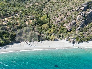 Αγροτεμάχια 4.500 τ.μ. για πώληση, Αρκαδία, Απόλλωνας-thumb-6