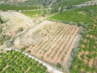 Αγροτεμάχια 5.120 τ.μ. για πώληση, Αργολίδα, Ναύπλιο-thumb-1