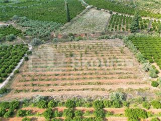 Αγροτεμάχια 5.120 τ.μ. για πώληση, Αργολίδα, Ναύπλιο-thumb-2