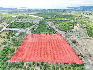 Αγροτεμάχια 5.120 τ.μ. για πώληση