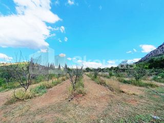 Αγροτεμάχια 5.120 τ.μ. για πώληση, Αργολίδα, Ναύπλιο-thumb-13