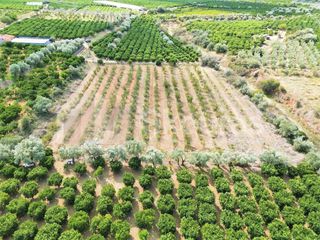 Αγροτεμάχια 5.120 τ.μ. για πώληση, Αργολίδα, Ναύπλιο-thumb-17