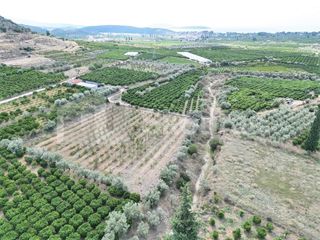 Αγροτεμάχια 5.120 τ.μ. για πώληση, Αργολίδα, Ναύπλιο-thumb-18