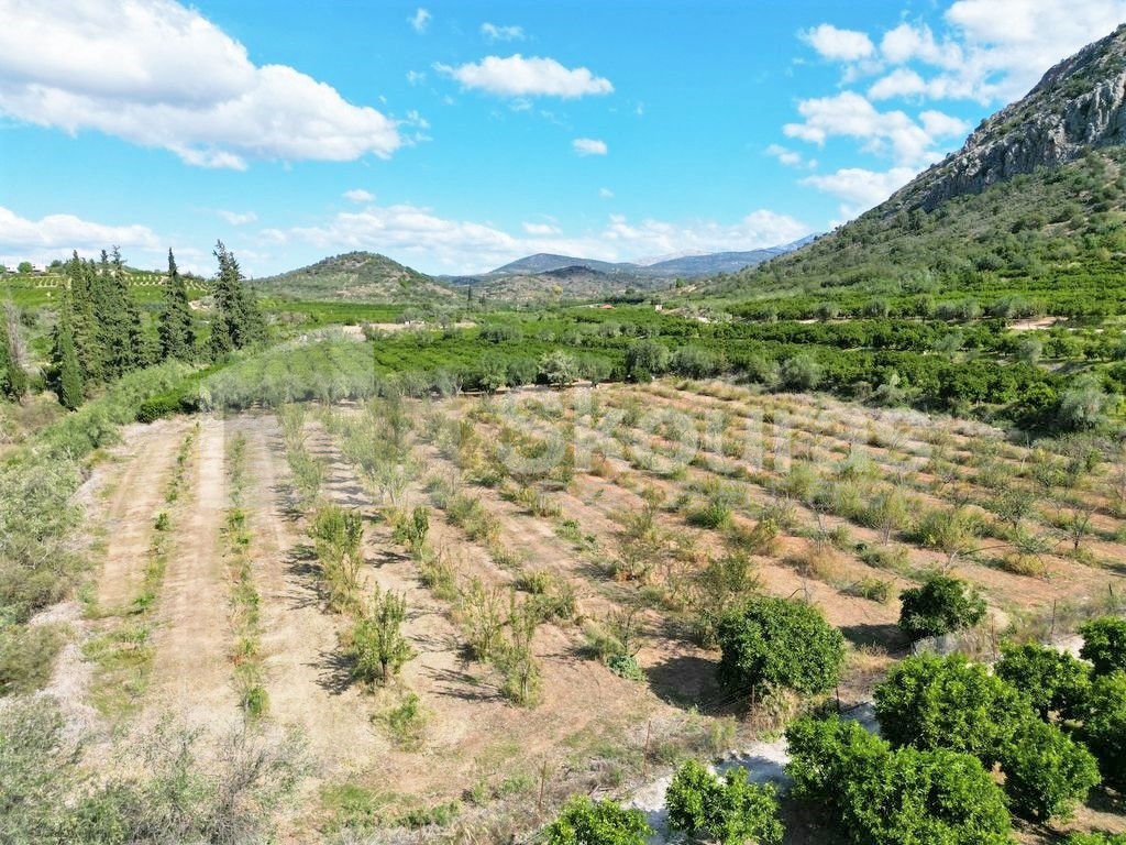 Αγροτεμάχια 5.120 τ.μ. προς πώληση, Λευκάκια