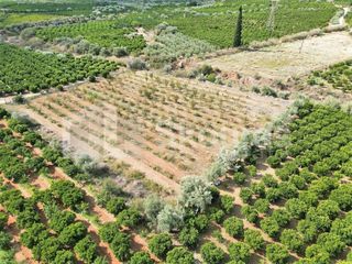 Αγροτεμάχια 5.120 τ.μ. για πώληση, Αργολίδα, Ναύπλιο-thumb-16