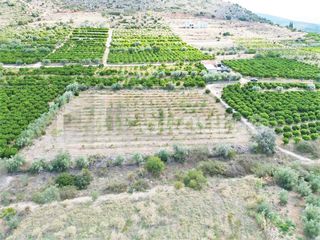 Αγροτεμάχια 5.120 τ.μ. για πώληση, Αργολίδα, Ναύπλιο-thumb-19