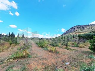 Αγροτεμάχια 5.120 τ.μ. για πώληση, Αργολίδα, Ναύπλιο-thumb-14