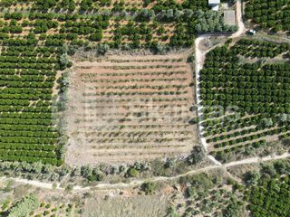 Αγροτεμάχια 5.120 τ.μ. για πώληση, Αργολίδα, Ναύπλιο-thumb-20