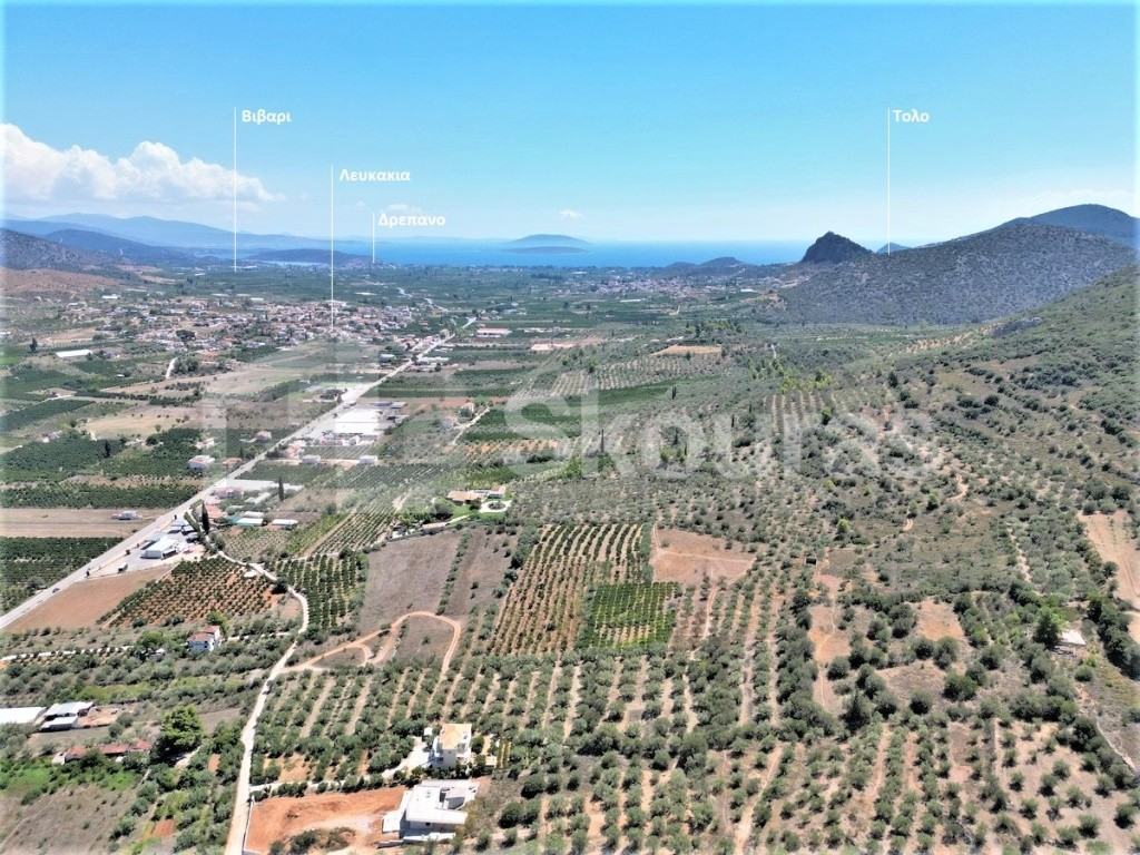 Οικόπεδο 875,39 τ.μ. προς πώληση, Εξώστης