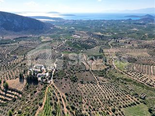 Αγροτεμάχια 4.126 τ.μ. για πώληση