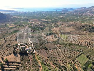 Αγροτεμάχια 4.126 τ.μ. για πώληση, Αργολίδα, Ναύπλιο-thumb-7