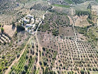 Αγροτεμάχια 4.126 τ.μ. για πώληση, Αργολίδα, Ναύπλιο-thumb-6