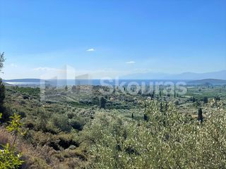 Αγροτεμάχια 4.126 τ.μ. για πώληση, Αργολίδα, Ναύπλιο-thumb-8