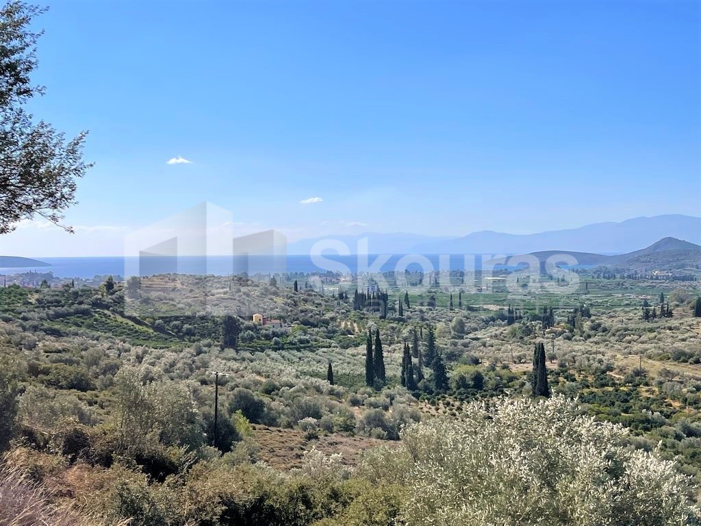 Αγροτεμάχια 4.126 τ.μ. προς πώληση, Λευκάκια