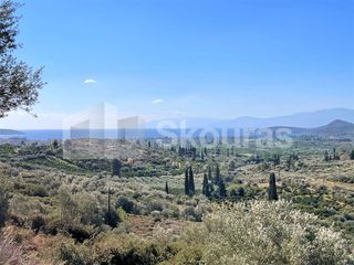 Αγροτεμάχια 4.126 τ.μ. για πώληση, Αργολίδα, Ναύπλιο-thumb-4