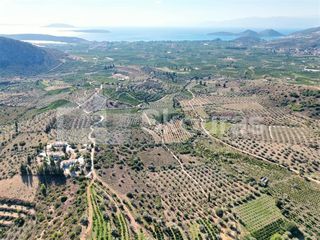 Αγροτεμάχια 4.126 τ.μ. για πώληση, Αργολίδα, Ναύπλιο-thumb-12